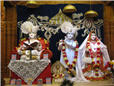 swaminarayan_vasantpanchami_2730.jpg